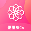 手机上p站的方法