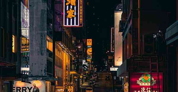 爬墙梯子外网
