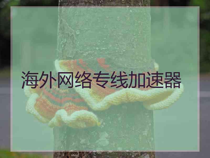 海外网络专线加速器