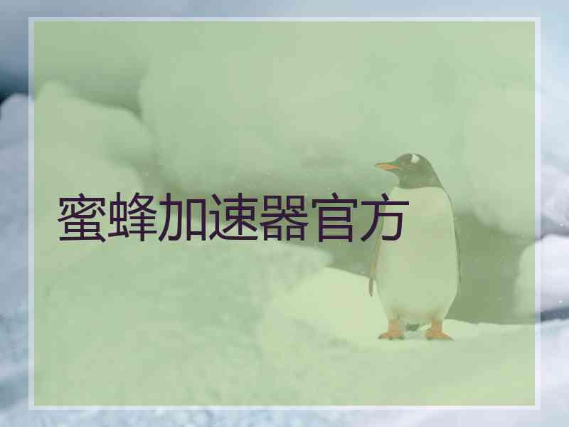 蜜蜂加速器官方