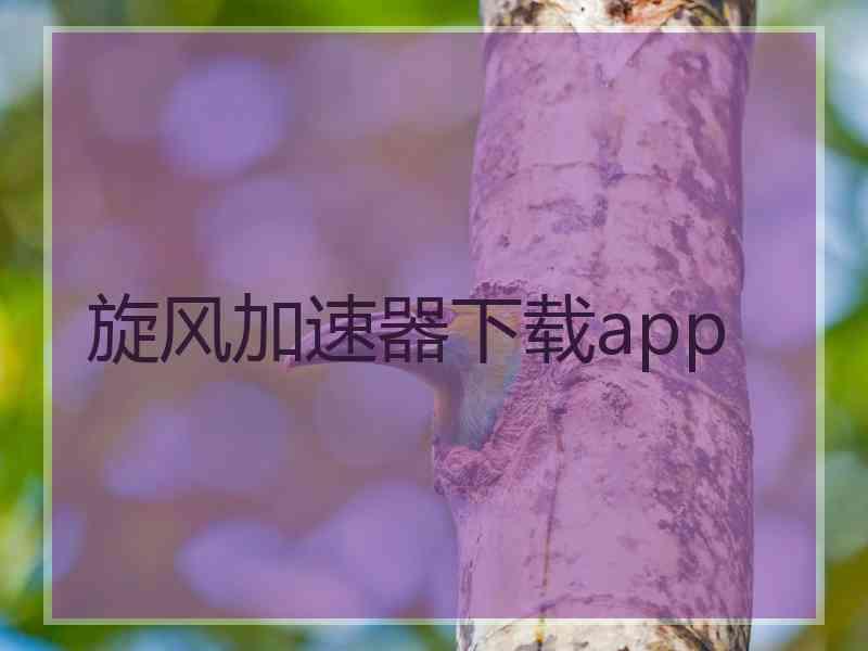 旋风加速器下载app