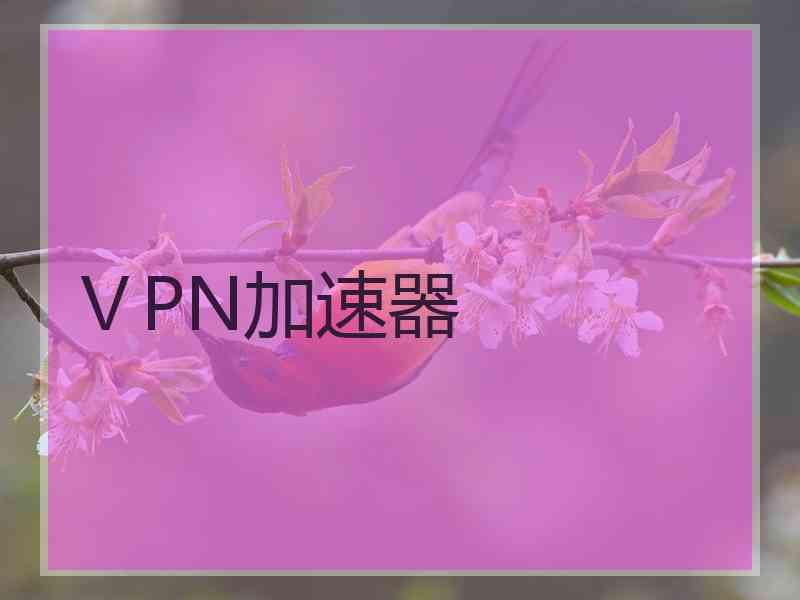 ⅤPN加速器