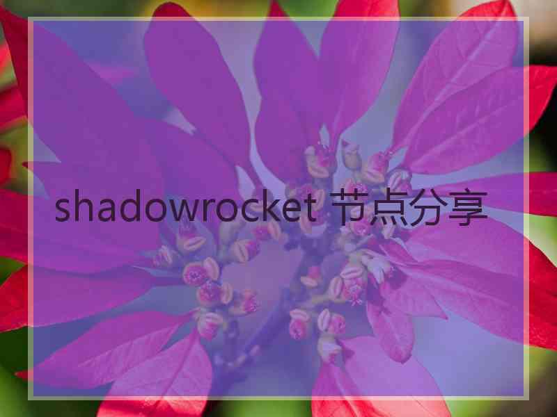 shadowrocket 节点分享