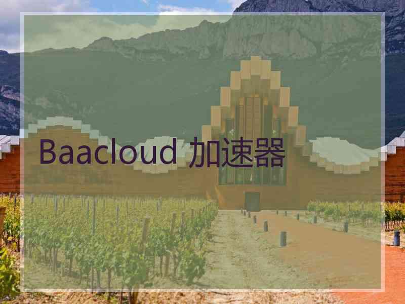 Baacloud 加速器