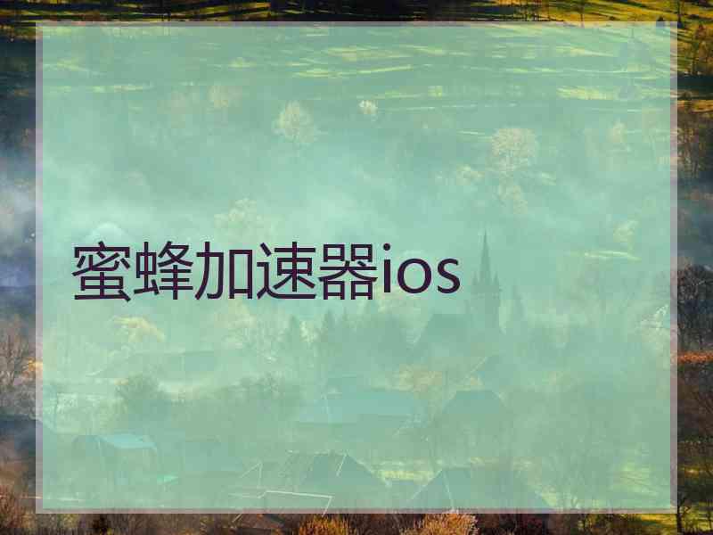 蜜蜂加速器ios
