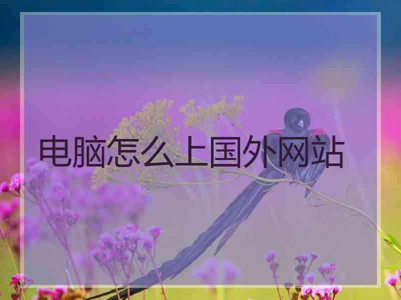 电脑怎么上国外网站