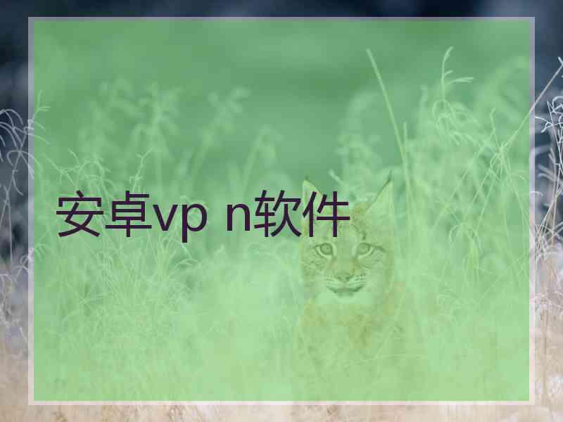 安卓vp n软件