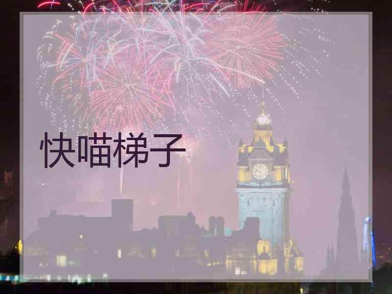 快喵梯子