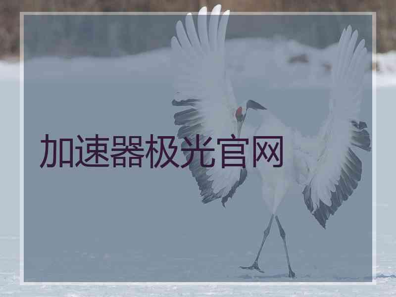 加速器极光官网