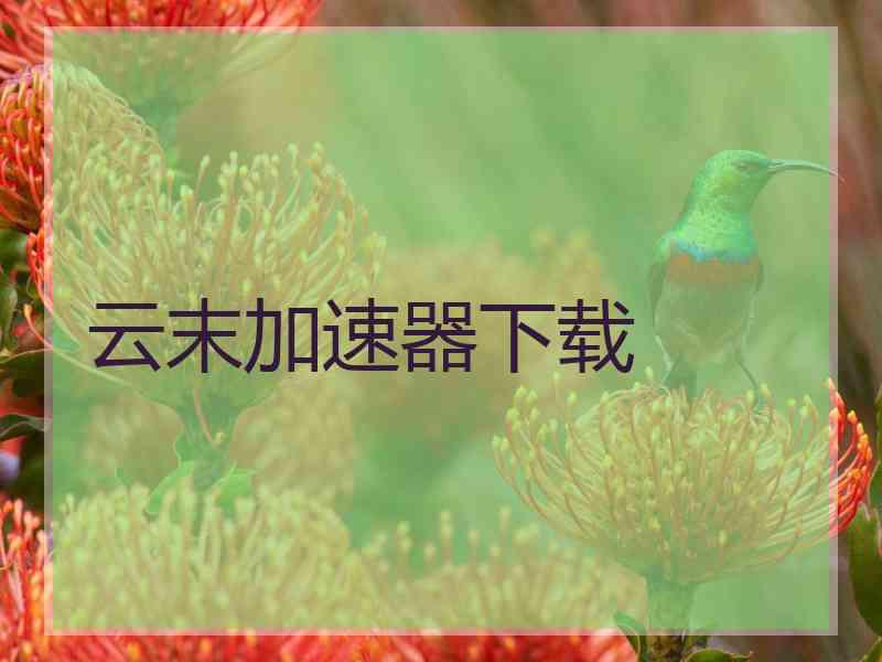 云末加速器下载