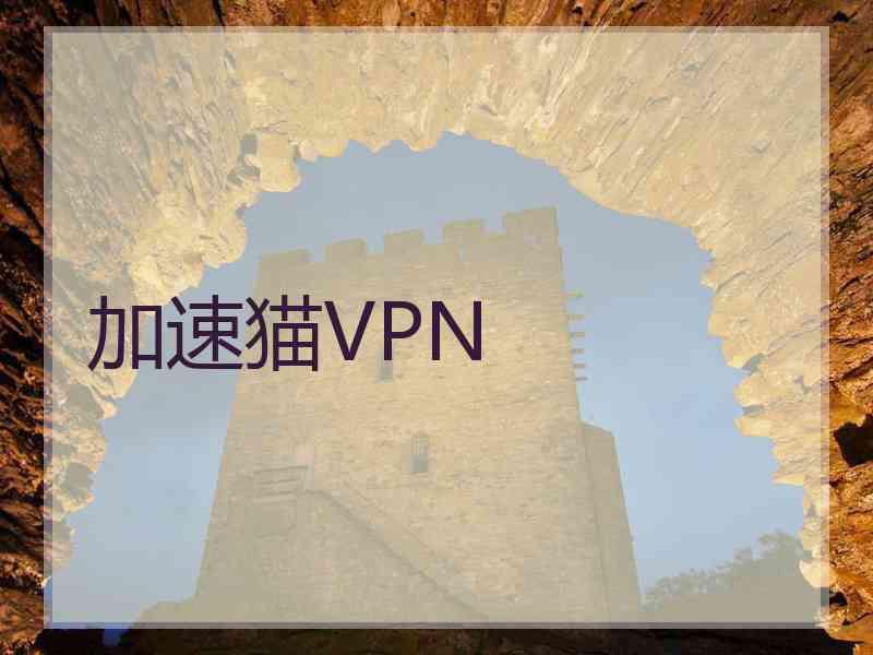 加速猫VPN