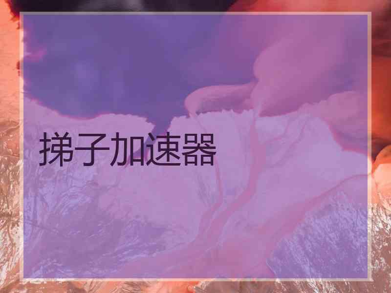 挮子加速器