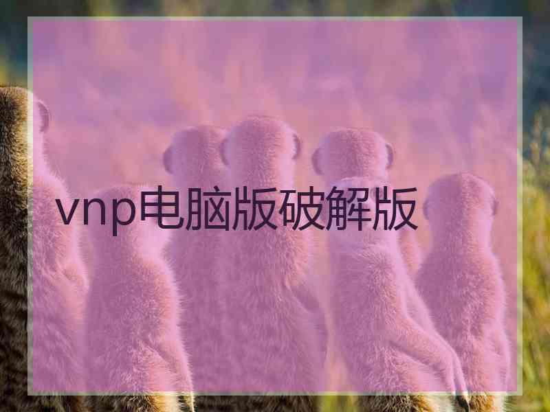 vnp电脑版破解版