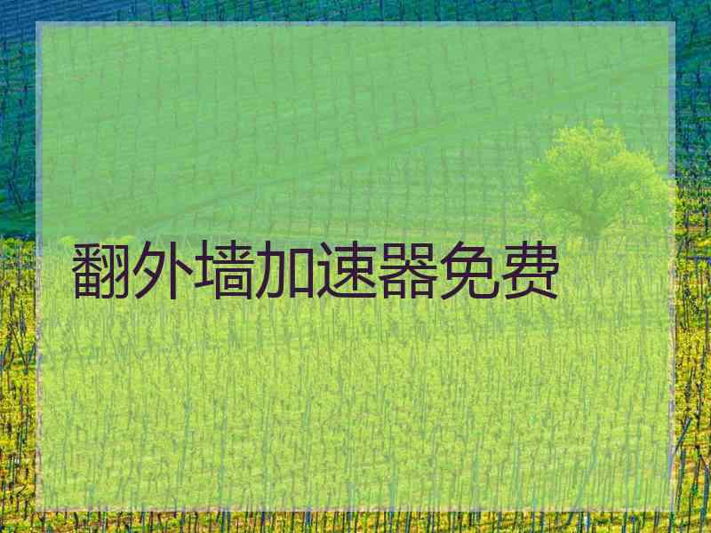 翻外墙加速器免费