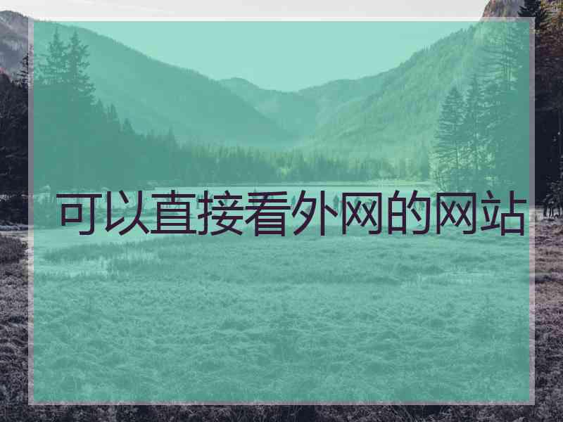 可以直接看外网的网站