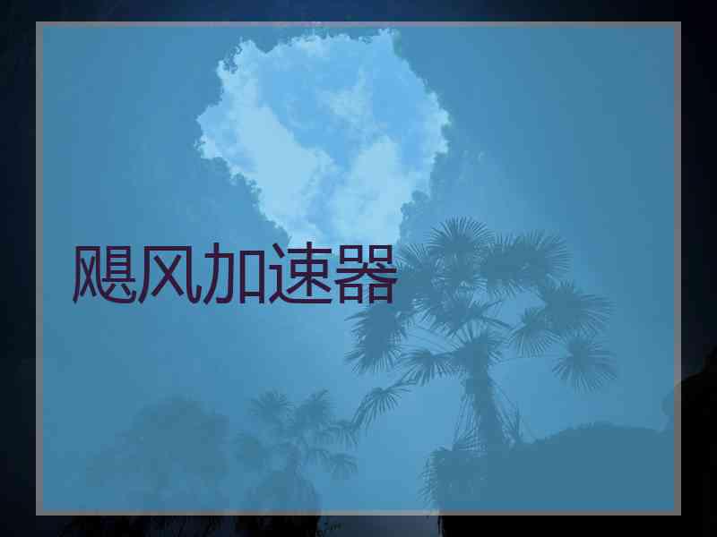 飓风加速器