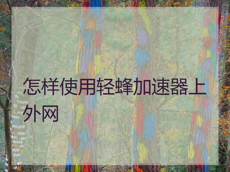 怎样使用轻蜂加速器上外网