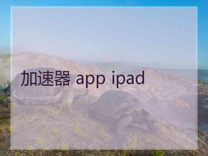 加速器 app ipad