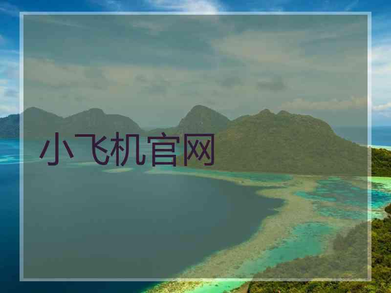 小飞机官网