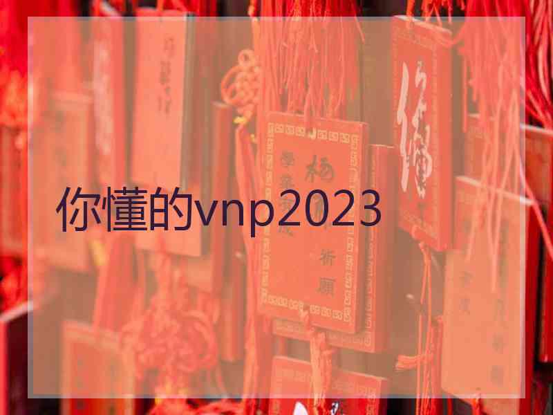 你懂的vnp2023
