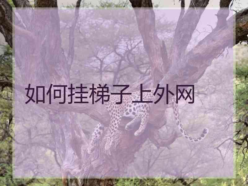 如何挂梯子上外网