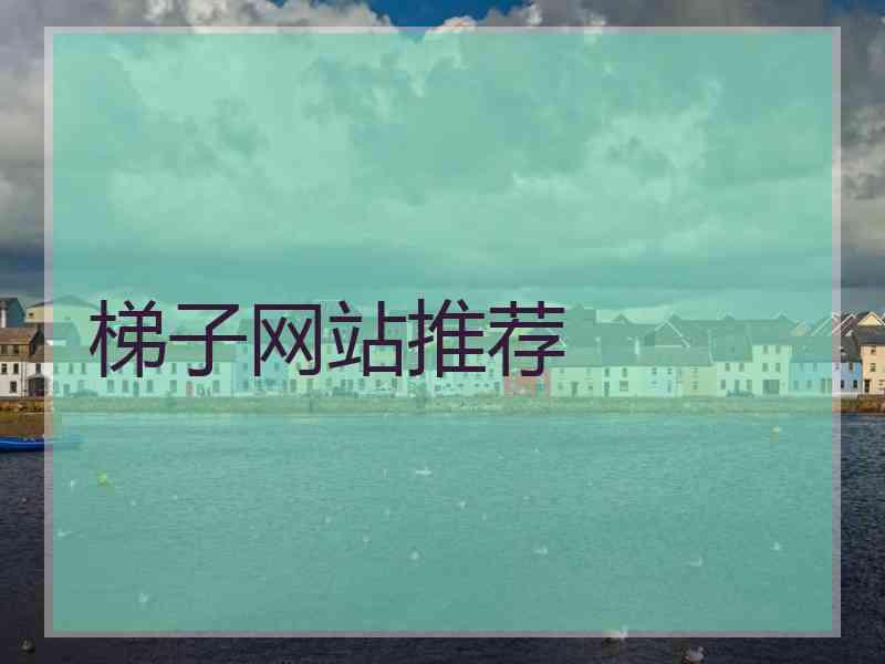 梯子网站推荐