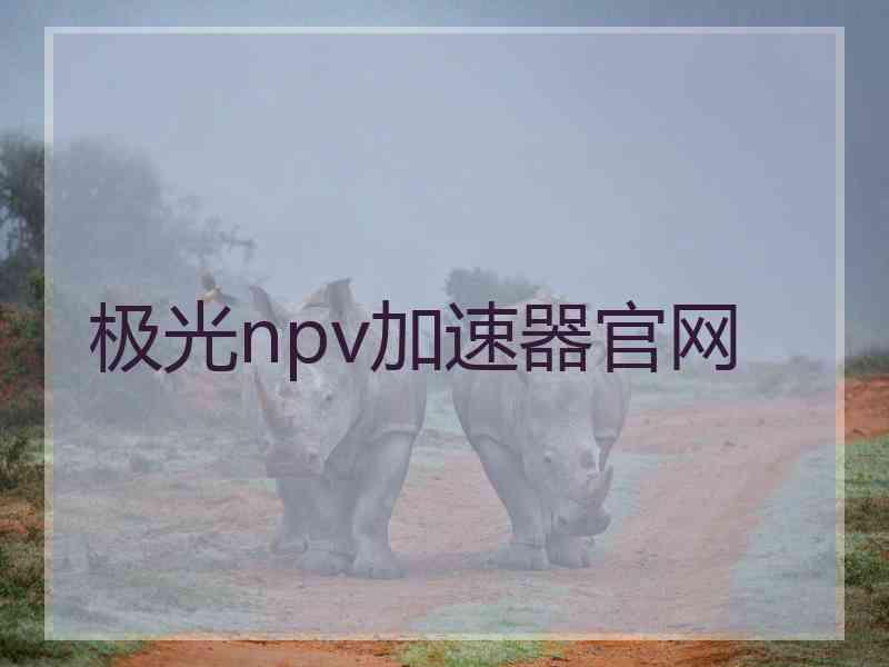 极光npv加速器官网