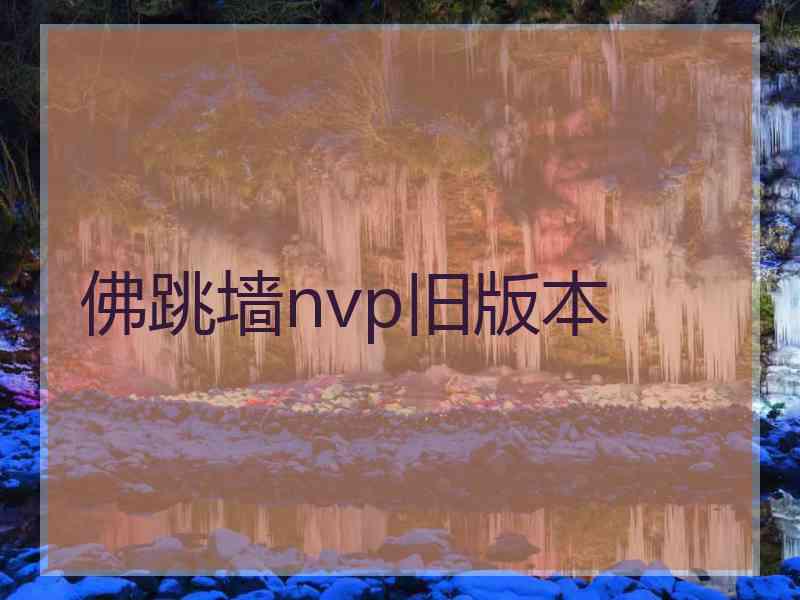 佛跳墙nvp旧版本