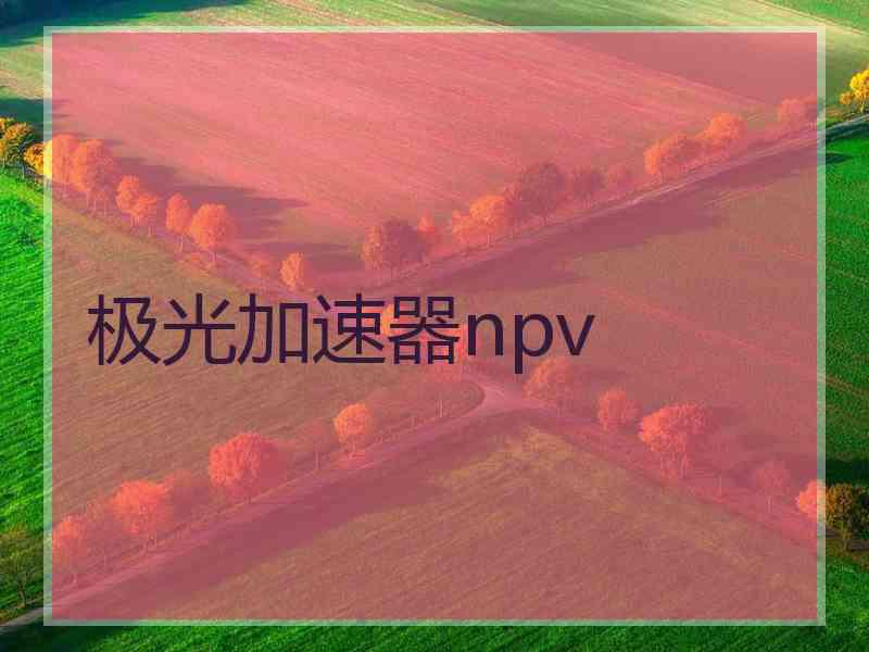 极光加速器npv