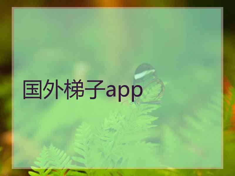 国外梯子app