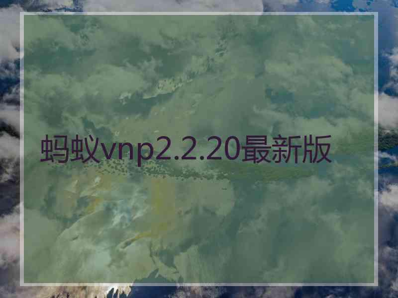 蚂蚁vnp2.2.20最新版