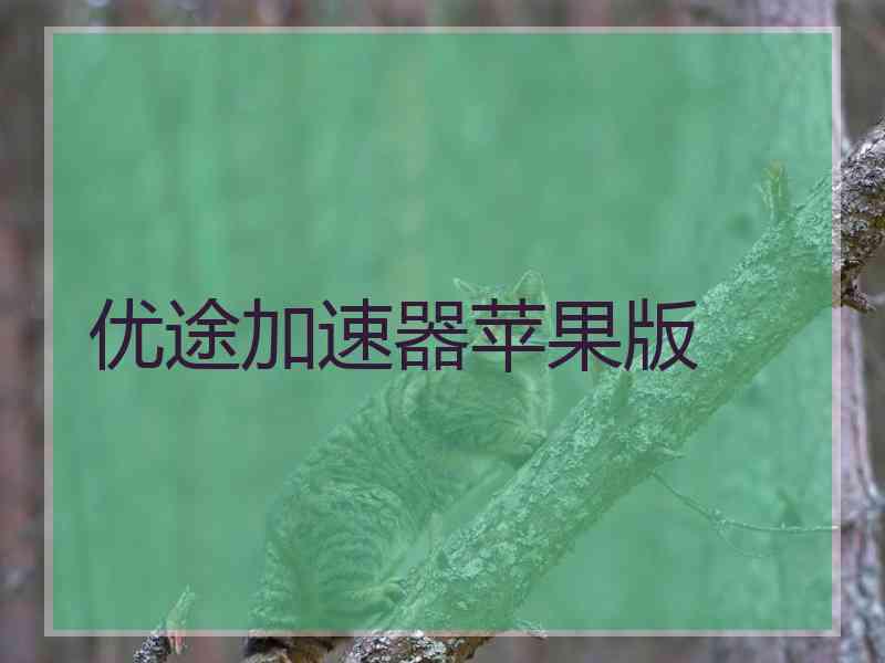 优途加速器苹果版