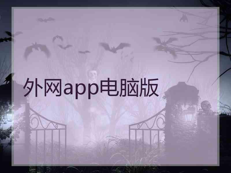 外网app电脑版