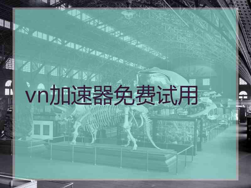 vn加速器免费试用