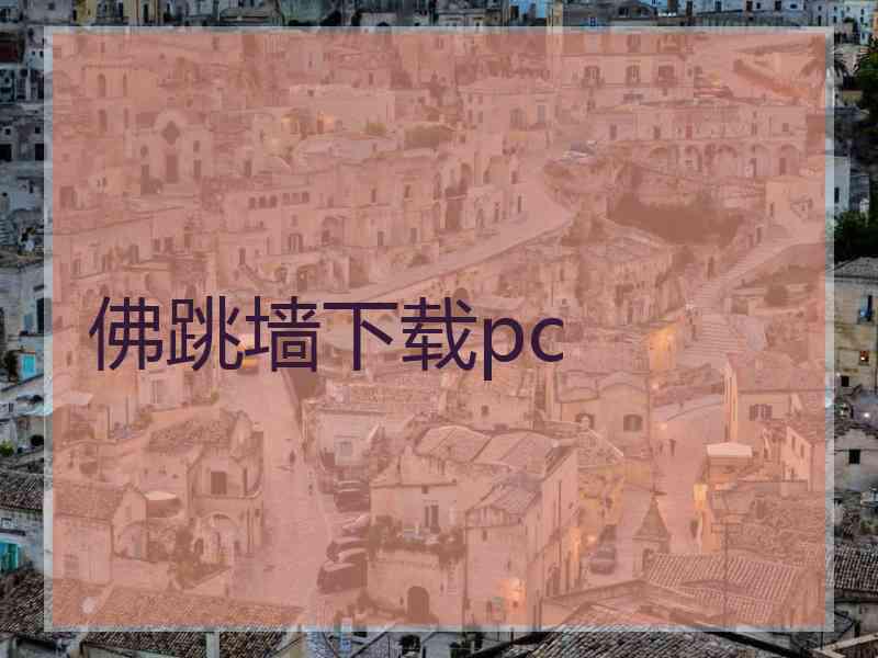 佛跳墙下载pc
