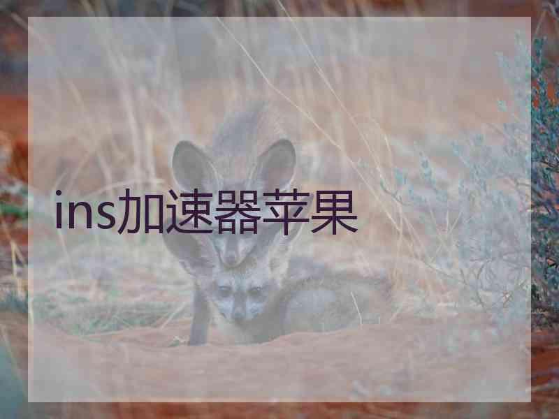 ins加速器苹果