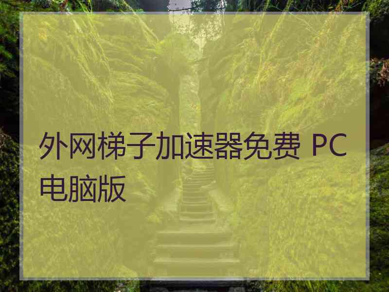 外网梯子加速器免费 PC电脑版