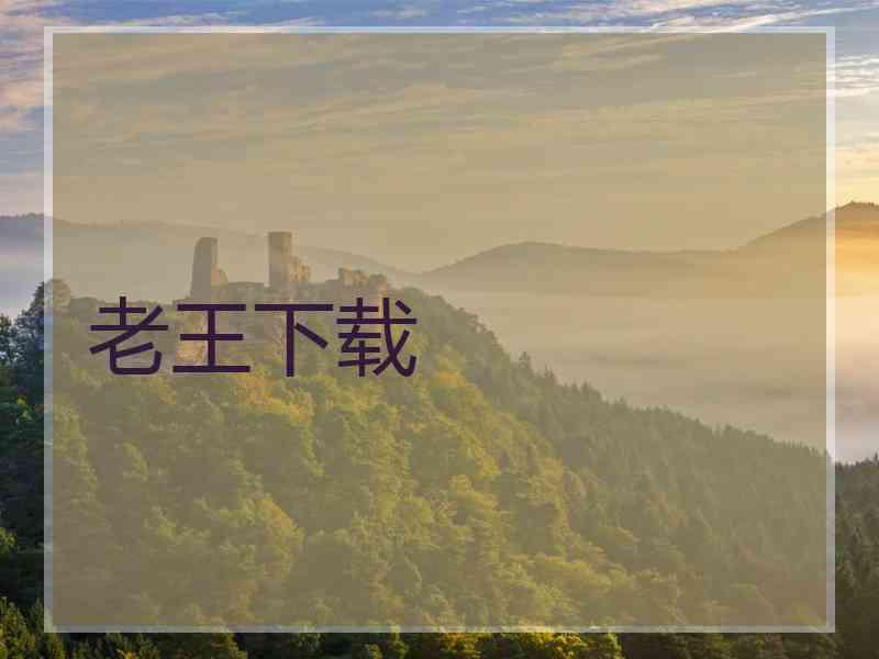 老王下载