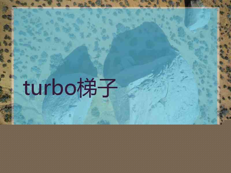 turbo梯子