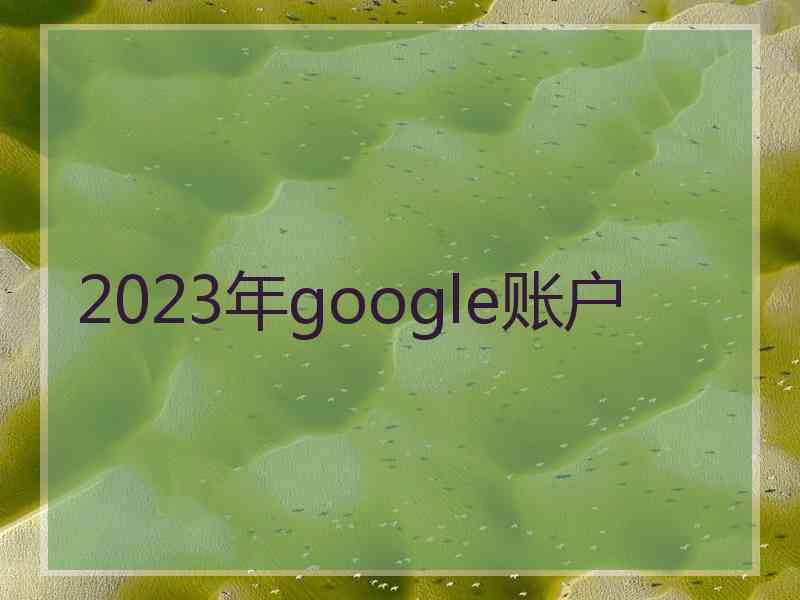 2023年google账户