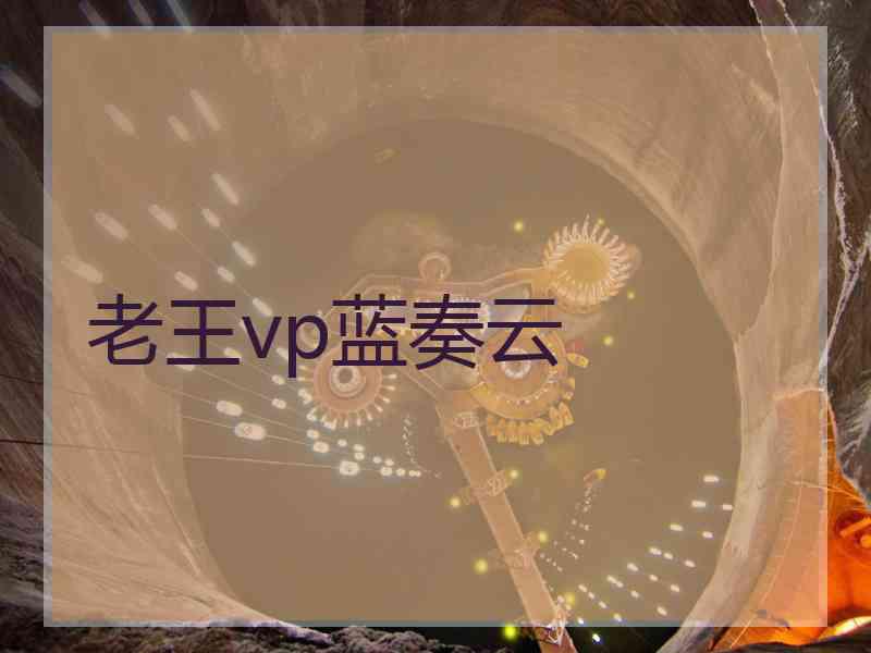 老王vp蓝奏云