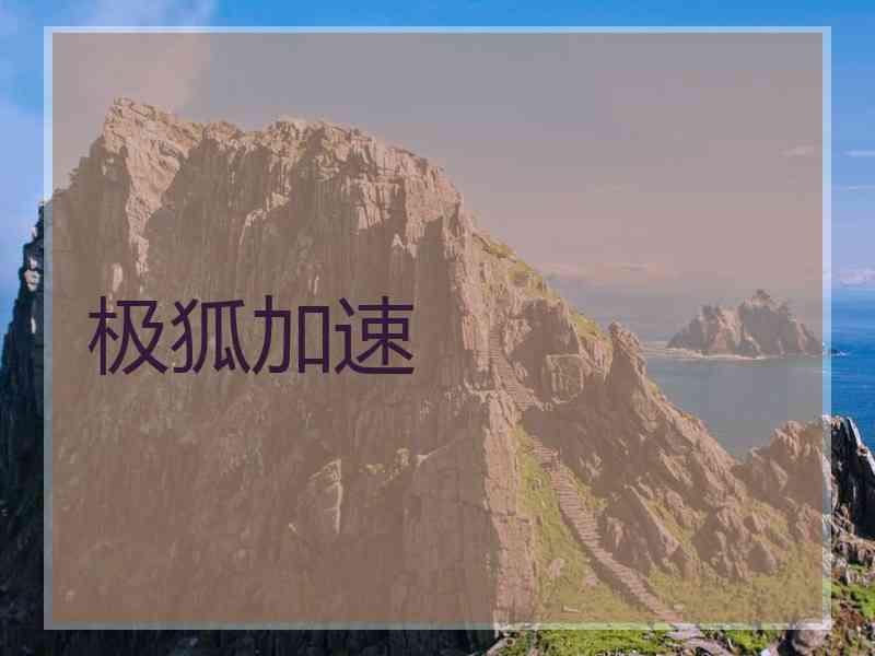 极狐加速