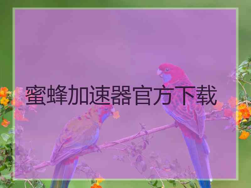 蜜蜂加速器官方下载