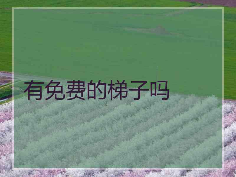有免费的梯子吗
