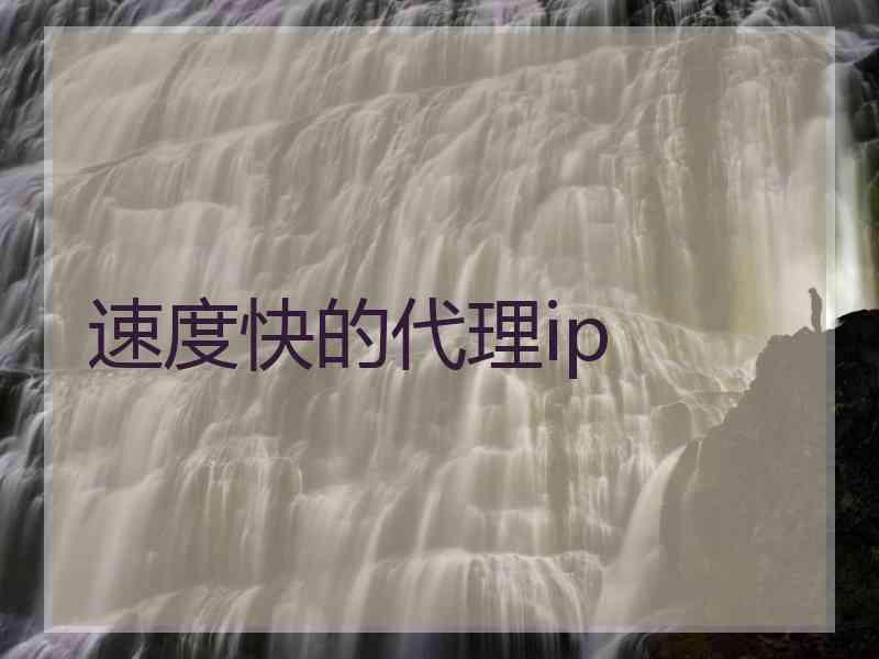 速度快的代理ip