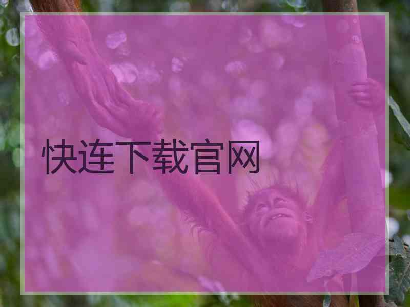 快连下载官网