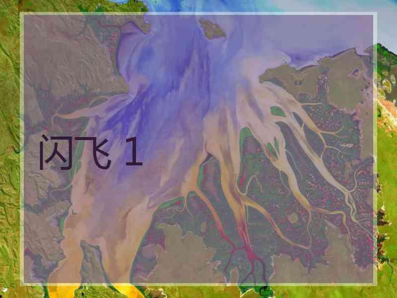 闪飞 1