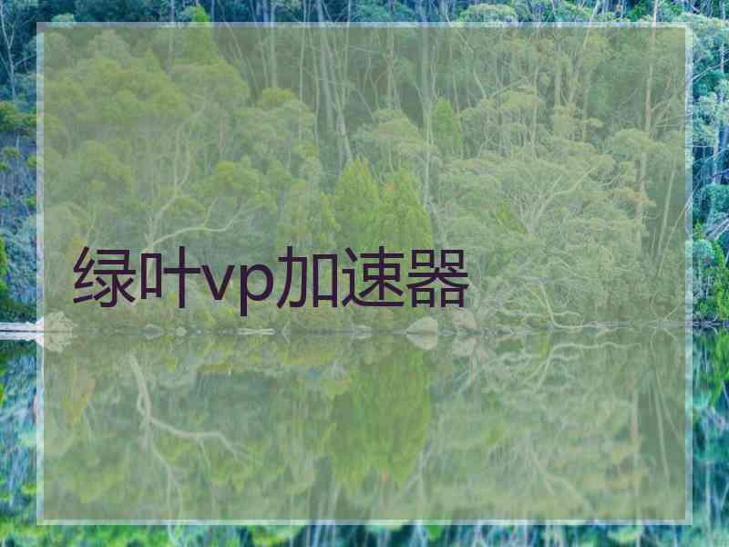 绿叶vp加速器