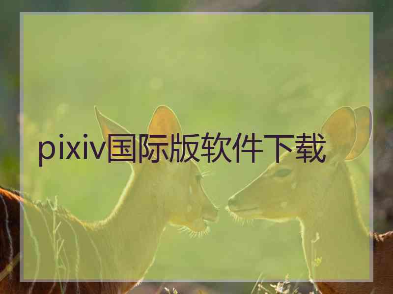 pixiv国际版软件下载