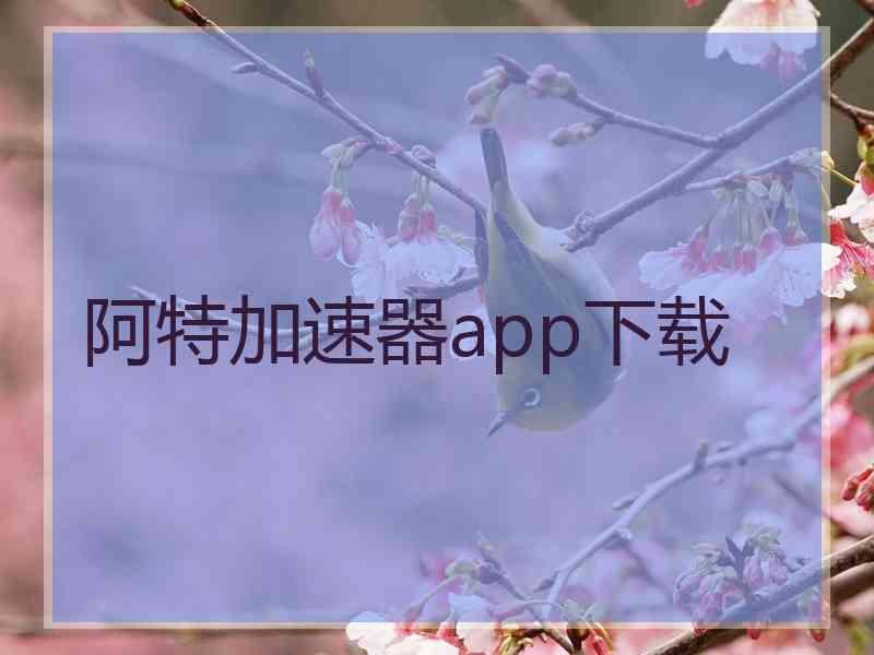 阿特加速器app下载
